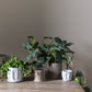 Draken Pot Set of 4 By Accent Decor | Planters, Troughs & Cachepots | Modishstore - 3