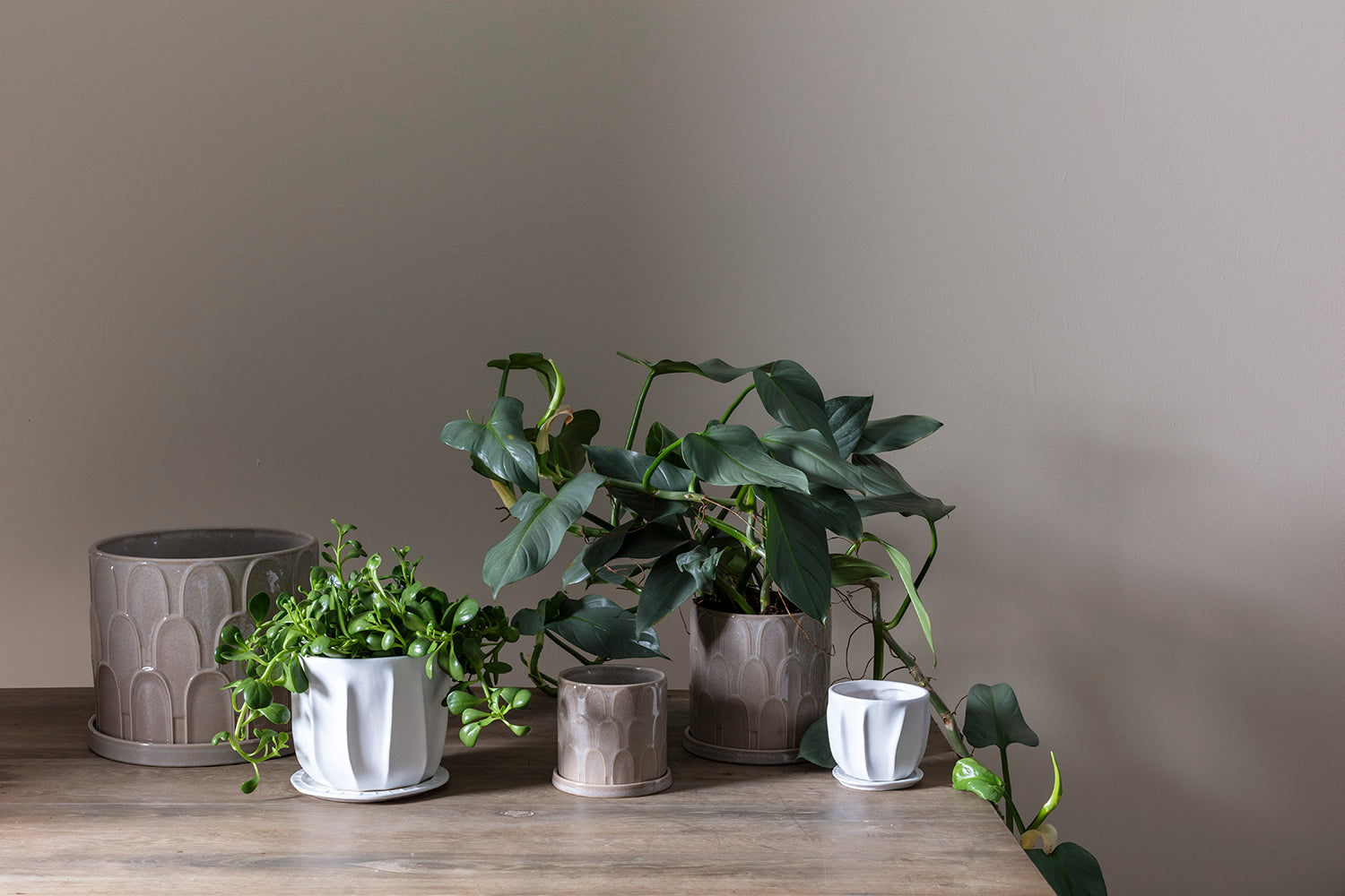 Draken Pot Set of 4 By Accent Decor | Planters, Troughs & Cachepots | Modishstore - 3