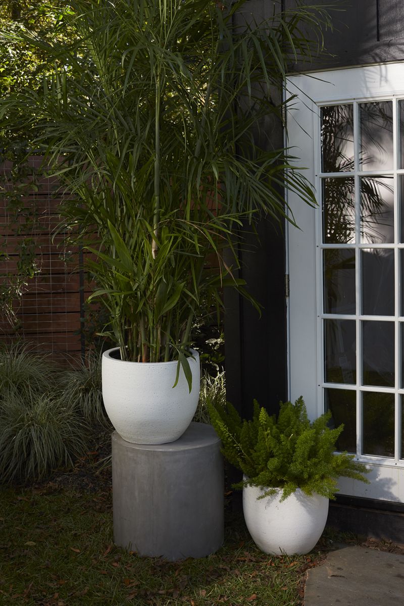 Druid Pot By Accent Decor | Planters, Troughs & Cachepots | Modishstore - 4