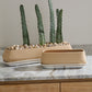 Dublin Planter with Saucer By Accent Decor | Planters, Troughs & Cachepots | Modishstore - 3
