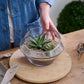 Dynamic Terrarium Set of 2 By Accent Decor | Stands | Modishstore - 1