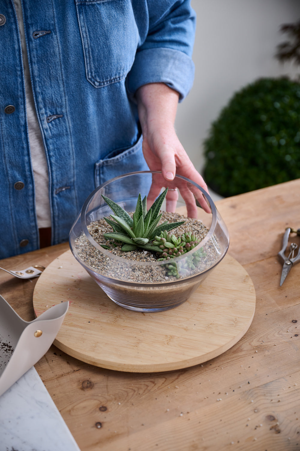 Dynamic Terrarium Set of 2 By Accent Decor | Stands | Modishstore - 1