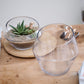 Dynamic Terrarium Set of 2 By Accent Decor | Stands | Modishstore - 3