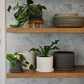 Easton Pot Set of 8 By Accent Decor | Planters, Troughs & Cachepots | Modishstore - 3