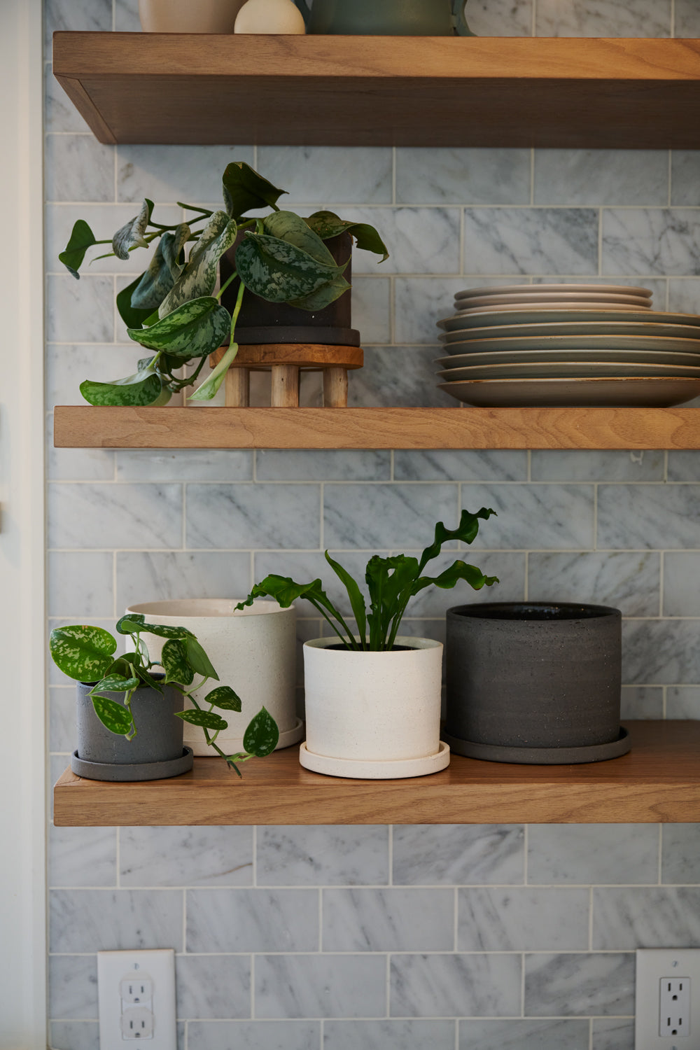 Easton Pot Set of 8 By Accent Decor | Planters, Troughs & Cachepots | Modishstore - 3