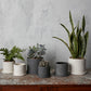 Easton Pot Set of 8 By Accent Decor | Planters, Troughs & Cachepots | Modishstore - 4