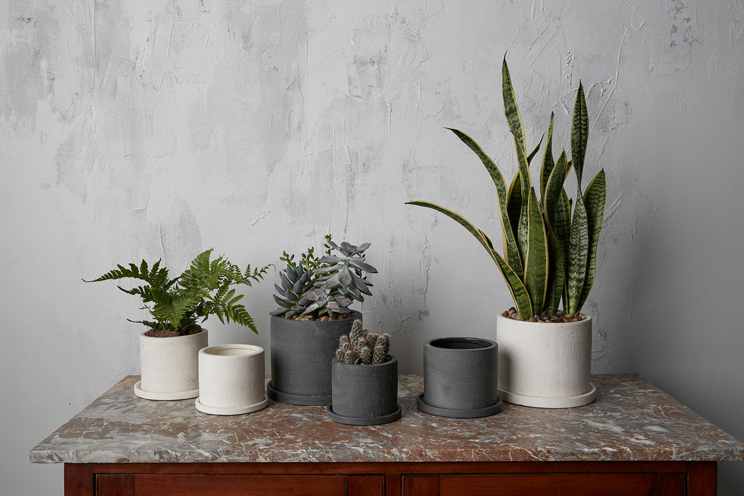 Easton Pot Set of 8 By Accent Decor | Planters, Troughs & Cachepots | Modishstore - 4
