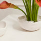 Easy Bowl Set of 8 By Accent Decor | Decorative Bowls | Modishstore - 1