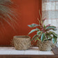 Ebba Basket Set of 4 By Accent Decor | Vases | Modishstore - 1