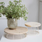 Edith Riser By Accent Decor | Decorative Bowls | Modishstore - 5