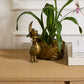 E+E Emerson Bowl By Accent Decor | Decorative Bowls | Modishstore - 1