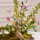 E+E Emerson Tray By Accent Decor | Planters, Troughs & Cachepots | Modishstore - 1