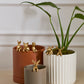 E+E Huggers - Set of 24 By Accent Decor | Planters, Troughs & Cachepots | Modishstore - 3