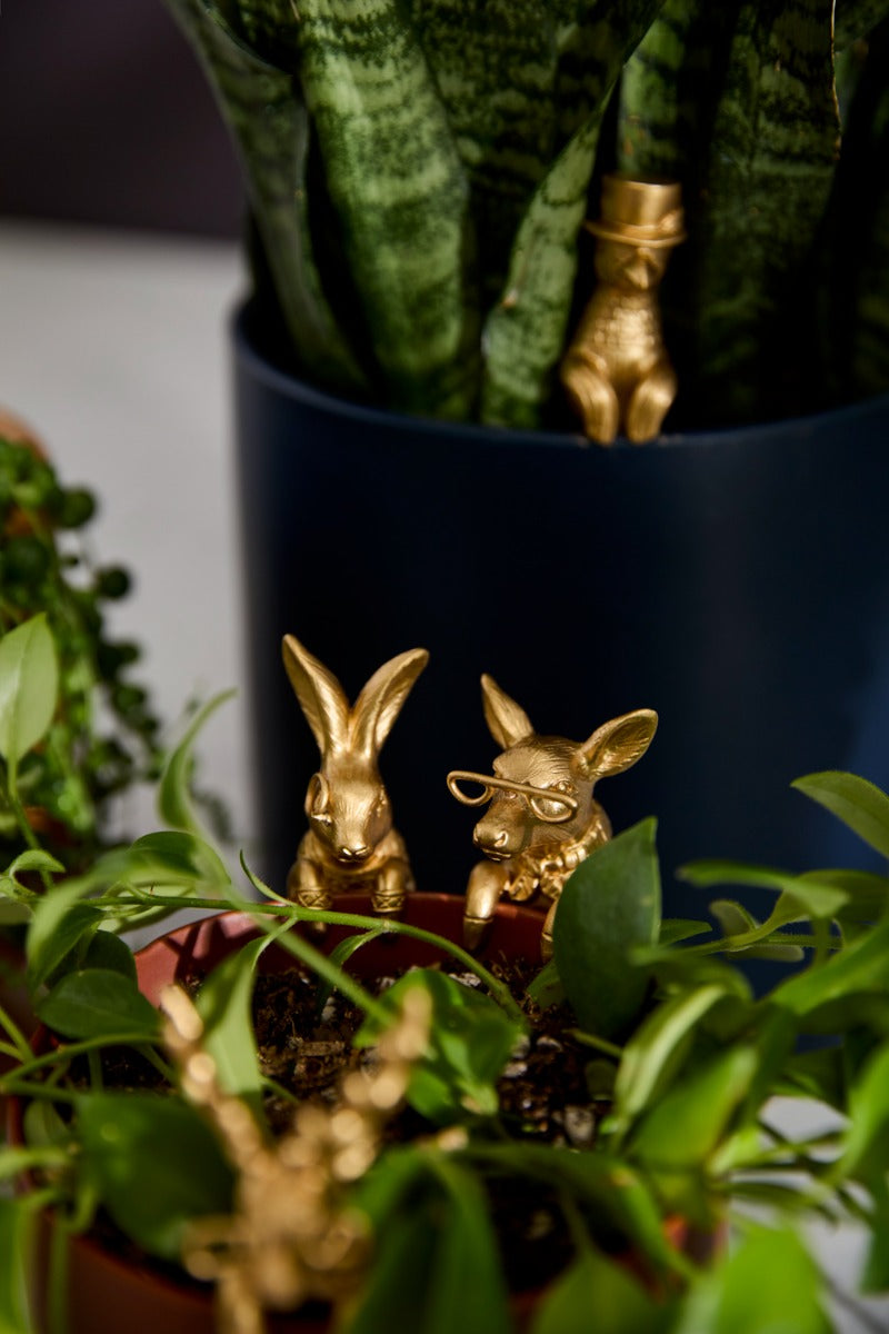 E+E Huggers - Set of 24 By Accent Decor | Planters, Troughs & Cachepots | Modishstore - 2