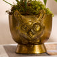 E+E Louie Pot By Accent Decor | Planters, Troughs & Cachepots | Modishstore - 1