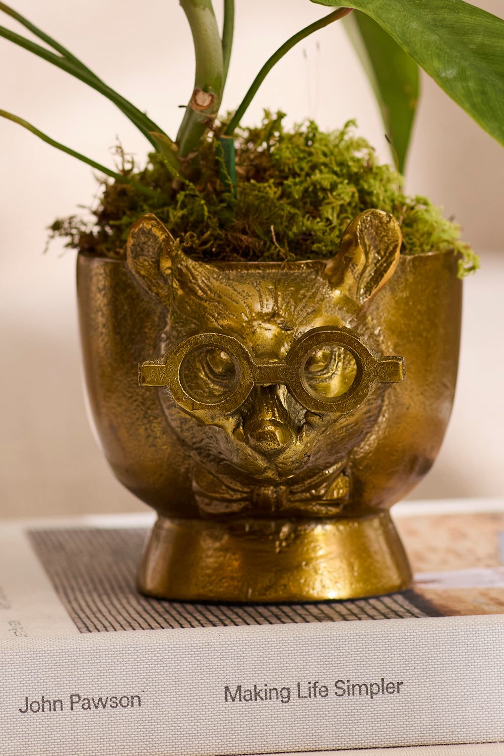 E+E Louie Pot By Accent Decor | Planters, Troughs & Cachepots | Modishstore - 1