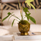 E+E Louie Pot By Accent Decor | Planters, Troughs & Cachepots | Modishstore - 3