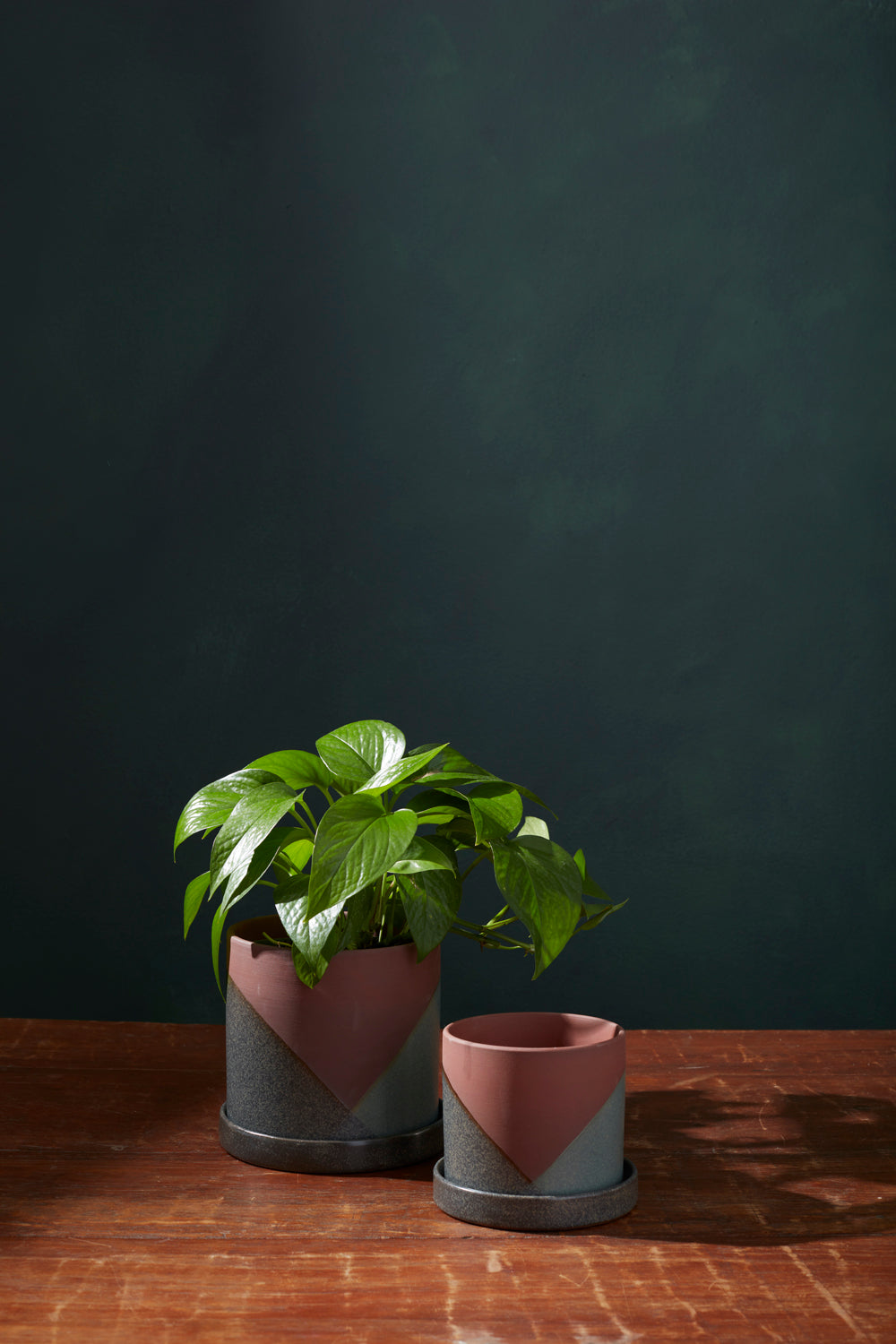 El Cerro Pot Set of 4 By Accent DŽcor