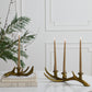Elegant Antler Candleholder Set of 2 By Accent Decor | Candle Holders | Modishstore - 4