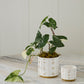 Elemental Pot Set of 8 By Accent Decor | Planters, Troughs & Cachepots | Modishstore - 4