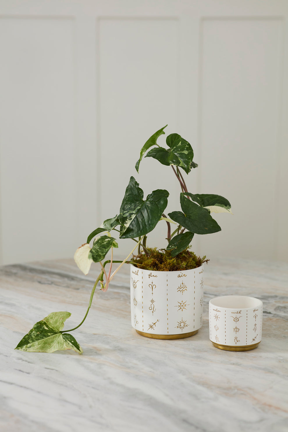 Elemental Pot Set of 8 By Accent Decor | Planters, Troughs & Cachepots | Modishstore - 4