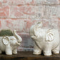 Elephant Pot Set of 8 By Accent Decor | Planters, Troughs & Cachepots | Modishstore - 4