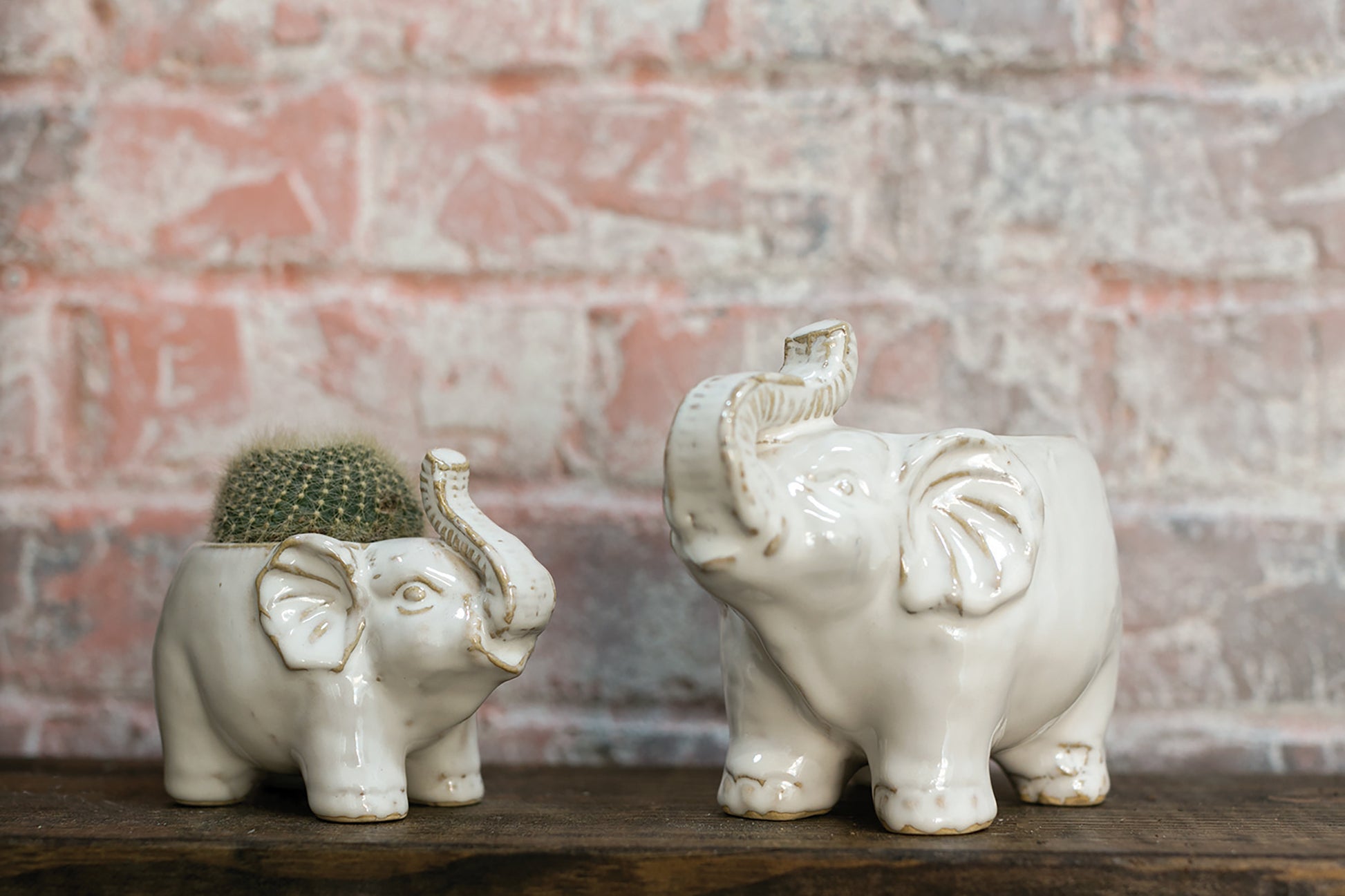 Elephant Pot Set of 8 By Accent Decor | Planters, Troughs & Cachepots | Modishstore - 4