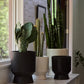 Elliott Pot By Accent Decor | Stands | Modishstore - 3