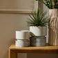 Endeavor Pot with Saucer Set of 2 By Accent Decor | Stands | Modishstore - 3