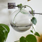 Envision Wall Mount Vase Collection Set of 2 By Accent Decor | Vases | Modishstore - 7
