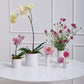 Everest Collection Set of 8 By Accent Decor | Planters, Troughs & Cachepots | Modishstore - 1