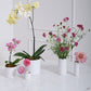 Everest Collection Set of 8 By Accent Decor | Planters, Troughs & Cachepots | Modishstore - 3
