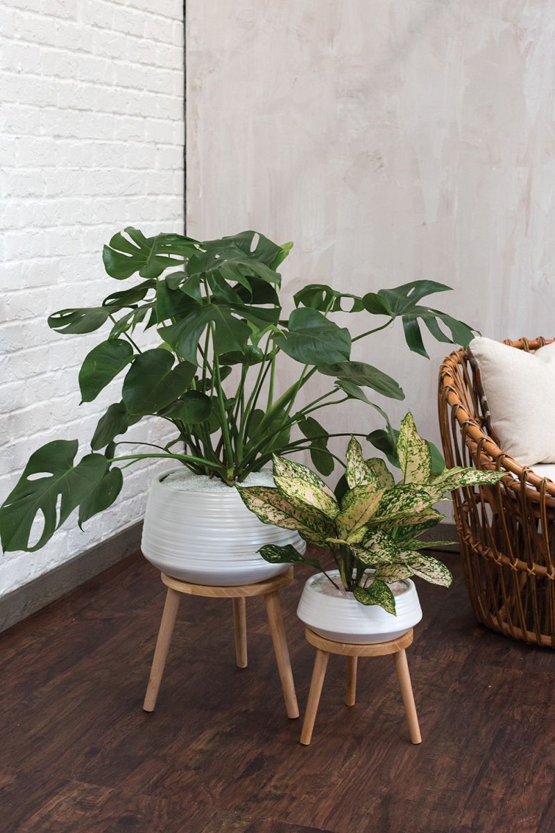 Everett Stand Only 14" x  12.25" By Accent Decor | Planters, Troughs & Cachepots | Modishstore - 4
