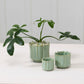 Everleaf Pot Set of 8 By Accent Decor | Planters, Troughs & Cachepots | Modishstore - 3