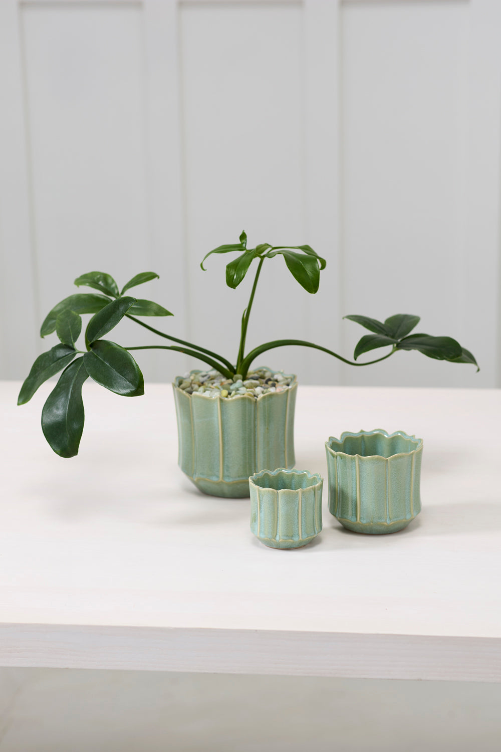 Everleaf Pot Set of 8 By Accent Decor | Planters, Troughs & Cachepots | Modishstore - 3