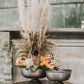 Fable Compote Set of 4 By Accent Decor | Planters, Troughs & Cachepots | Modishstore - 3