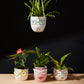 Fab Pot Set of 4 By Accent Decor | Planters, Troughs & Cachepots | Modishstore - 3