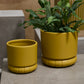 Fara Pot Set of 8 By Accent Decor | Stands | Modishstore - 3