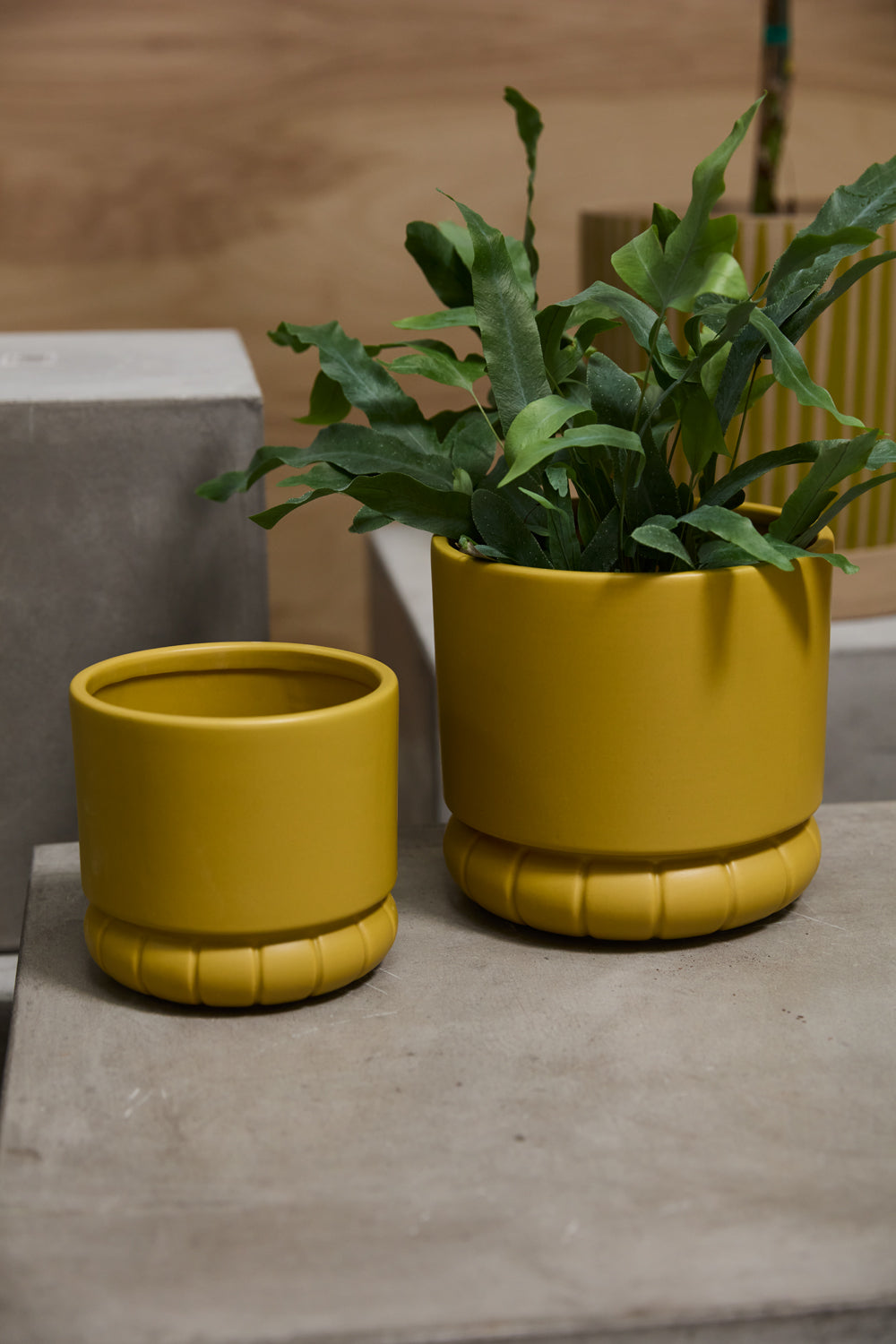 Fara Pot Set of 8 By Accent Decor | Stands | Modishstore - 3
