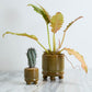 Ferris Footed Pot Set of 8 By Accent Decor | Wall Decor | Modishstore - 5