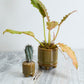 Ferris Footed Pot Set of 8 By Accent Decor | Wall Decor | Modishstore - 3