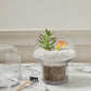 Fiction Terrarium Set of 4 By Accent Decor | Planters, Troughs & Cachepots | Modishstore - 5
