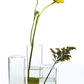 Flora Vase Set of 8 By Accent Decor | Vases | Modishstore - 6