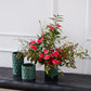 Foret Collection Set of 8 By Accent Decor | Stands | Modishstore - 3
