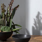 Fortis Bowl By Accent Decor | Decorative Bowls | Modishstore - 1