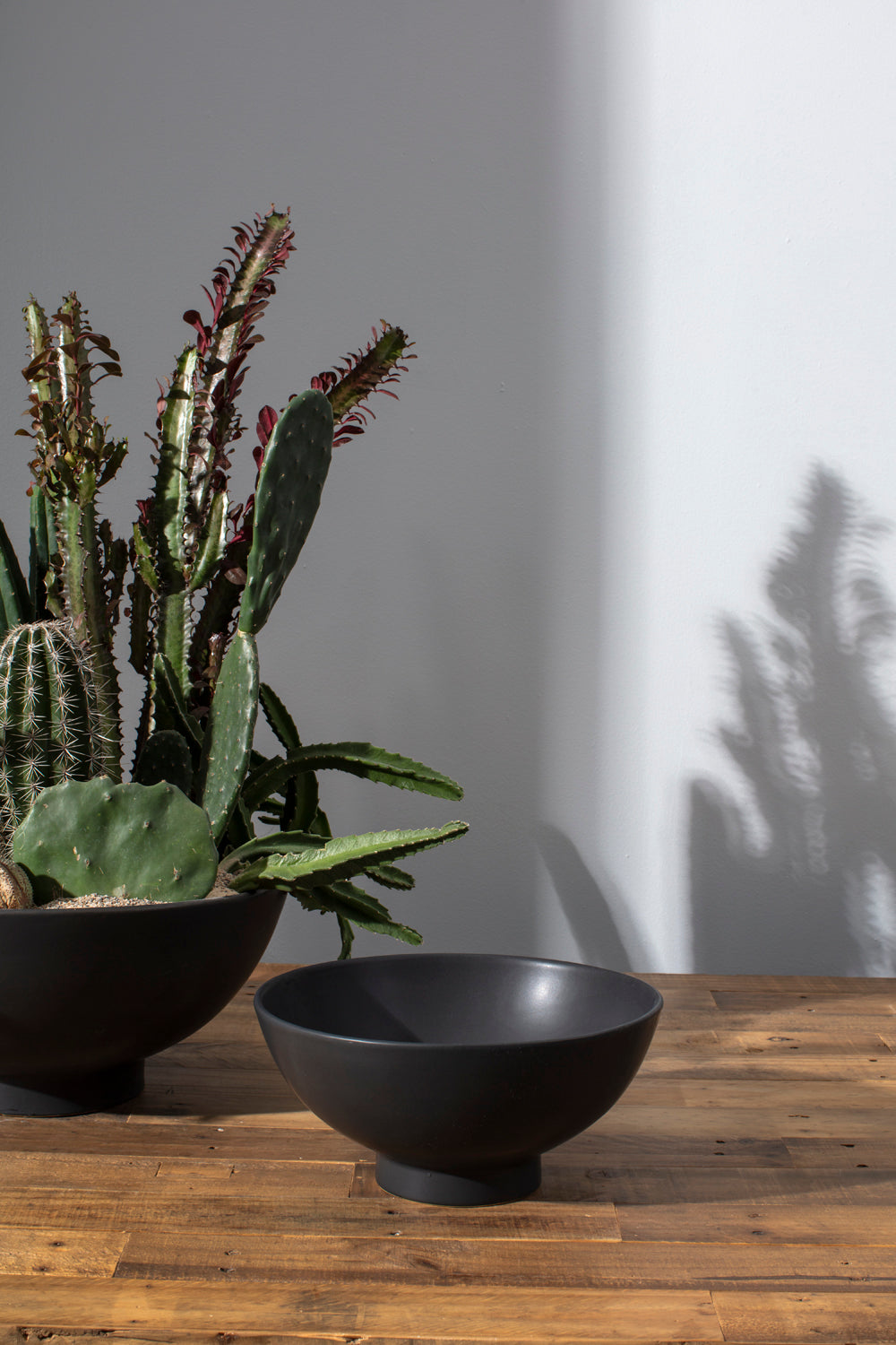 Fortis Bowl By Accent Decor | Decorative Bowls | Modishstore - 1