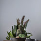 Fortis Bowl By Accent Decor | Decorative Bowls | Modishstore - 3