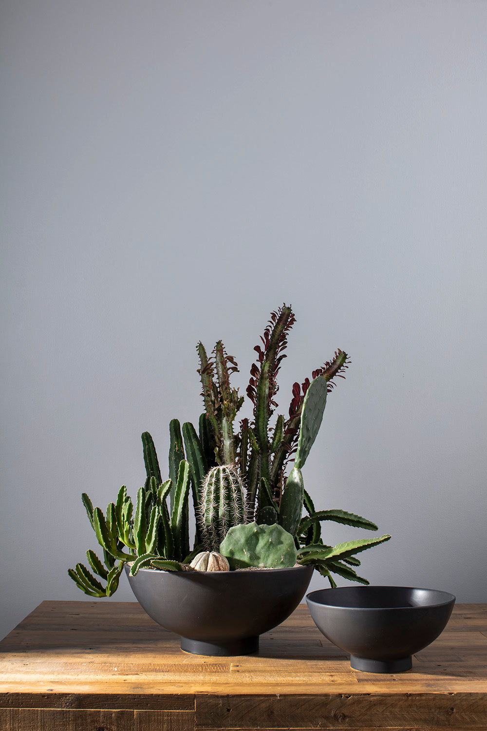 Fortis Bowl By Accent Decor | Decorative Bowls | Modishstore - 3