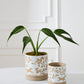 Foxtail Pot with Saucer Set of 4 By Accent Decor | Planters, Troughs & Cachepots | Modishstore - 5