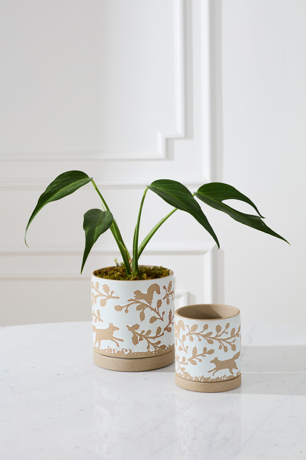 Foxtail Pot with Saucer Set of 4 By Accent Decor | Planters, Troughs & Cachepots | Modishstore - 5